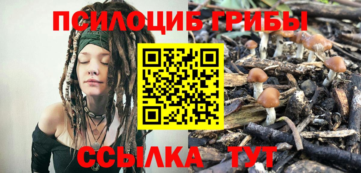 Псилоцибиновые грибы Psilocybe  Вход с VPN  Шатура 