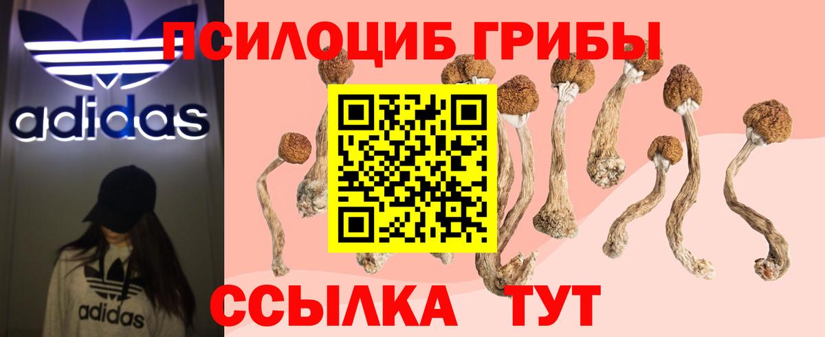Псилоцибиновые грибы Magic Shrooms Шатура